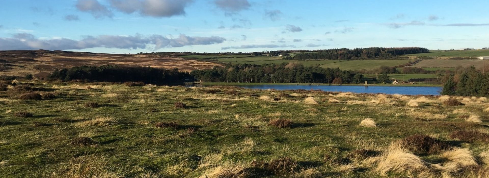 Green field & blue skies