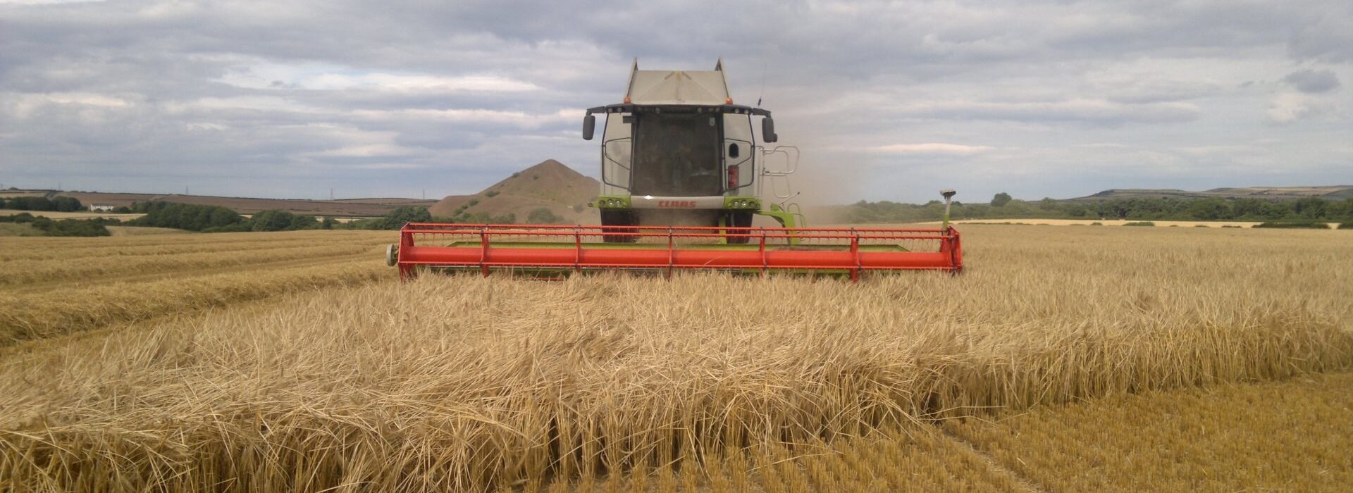 crops being harvested